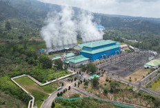 Bentuk Konsorsium Kembangkan Pembangkit Listrik Panas Bumi, PLN Gandeng PGE 