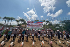 Komitmen Wujudkan Swasembada Pangan