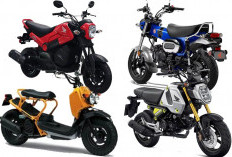 UPDATE Daftar Harga 5 Mini-Bike Honda dari Termurah hingga Termahal Bulan November