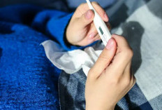 Mengungkap Sederet Fakta Lonjakan Wabah Influenza di Jepang, Turis yang Ingin Melancong Ke Sana Wajib Tahu!