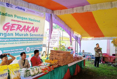 Waspadai Potensi Lonjakan Harga Telur 