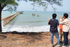 Kepentingan Perekonomian, Pembangunan Pelabuhan Tidak Mudah Tapi Tidak Mustahil