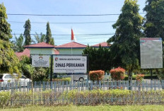 Realisasi PAD BBI 50 Persen, Dinas Perikanan Optimis Target Tercapai