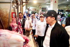 Mentan: Rumah Potong Hewan Dilarang Naikkan Harga Daging