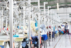 Mesin Utama Pengerek Pertumbuhan Ekonomi di Indonesia 