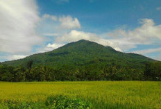 Hantu Banaspati, Babi Raksasa, Mistis di Gunung Pulosari, Pandeglang