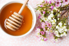 Mengenal Manfaat Madu Manuka untuk Asam Lambung yang Jarang Diketahui