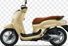 Honda Scoopy 2026 Terbaru: Cicilan Ringan, Ikonik, Bandingkan Dengan Yamaha Fazzio