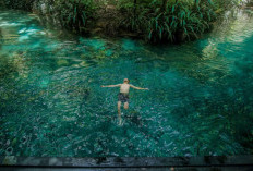  Kali Biru, Surga Kecil di Pelosok Raja Ampat