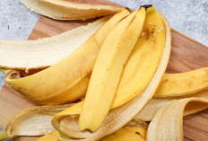 Sering Dipandang Sebelah Mata, Ternyata Kulit Pisang Menyimpan Berbagai Manfaat Bagi Kesehatan