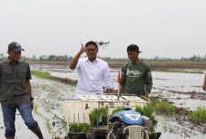 Pemerintah Cetak Tiga Juta Hektare Sawah Baru untuk Perkuat Ketahanan Pangan