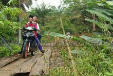 Jalan dan Jembatan di Talang Tua Bengkulu, Butuh Perbaikan