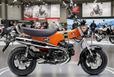Siap Meramaikan Pasar Motor Mini, Honda ST125 Dax 2026 Meluncur Ke Pasaran