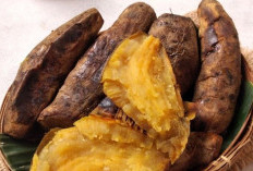  Penelitian Menunjukkan:  Ubi Cilembu Ternyata Punya Efek Antiinflamasi dan Antikanker