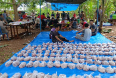 Jangan Sampai Salah, Kenali Kriteria Penerima Daging Kurban
