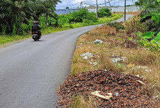 Pengendalian Sampah vs Kesadaran Manusia yang masih Rendah