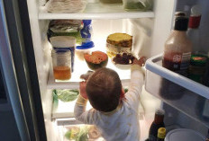 Kulkas Kamu Penuh Tapi Masih Ngerasa Gak Ada Makanan? Ini Penyebabnya!