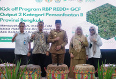 Program RBP REDD+ GCF Ditargetkan Perkuat Komitmen Mitigasi Perubahan Iklim