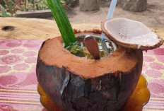 Belum Banyak Terdengar ! Temukan Manfaat Kelapa Bakar Buat Lambung, Yang Harus Anda Coba