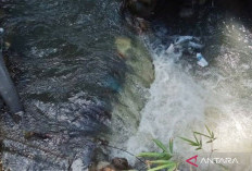 Petani Selagan Raya Tunda Tanam Padi Akibat Irigasi Rusak