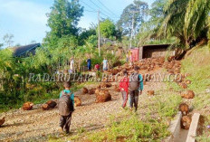 Jalan Provinsi di Tanjung Alai Rusak Parah: Aktivitas Pasar Lesu, Petani Sawit Terhambat