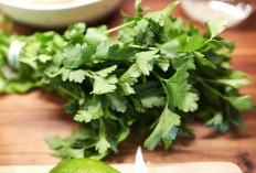 Dapat Mendukung Kesehatan Tulang Hingga Awet Muda, Ini Manfaat Lain dari Daun Parsley 