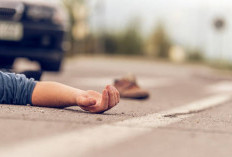 Tabrakan Mobil, Simbol Hilang Arah, Bagaimana Tafsir Mimpinya?