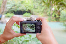 Anda Suka Traveling? Ini 6 Rekomendasi Kamera Mirrorless Cocok Banget Buat Traveling