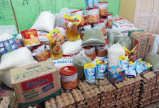 Hari Ini, PPKS 4 Kecamatan Terima Bantuan Sembako Hingga Kursi Roda, Program Atensi Tahap II