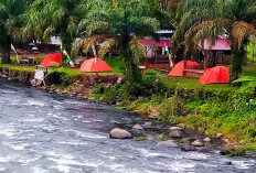 5 Deretan Wisata Alam Bengkulu Utara dengan Tarif Bersahabat dengan Pesona Memikat