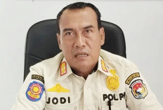 Patroli Rutin Satpol PP Berbuah Hasil, Gangguan Ketertiban Umum Kian Menurun