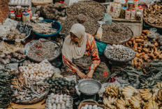 Peluang Emas! Dana UMKM Bisa Dimanfaatkan untuk Ekspansi Bisnis Anda di Tahun 2025!