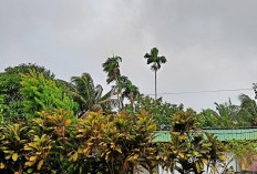 Waspada Gelombang Tinggi Hingga 2,9 Meter pada 21 Januari 2026