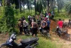 Sawit DAS Harus Ditumbang, Mapolda Diminta Tarik Seluruh Personel Brimob Dari Agricinal