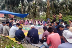 Kemelut Agricinal Sebelat dan Dugaan Perusakan Kawasan, Visi Terang Tikor HGU 