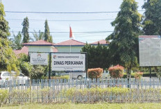 Pemkab Mukomuko Matangkan Lokasi Perumahan Nelayan 2026, Ipuh dan Bantal Jadi Prioritas