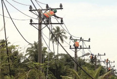 PLN Diminta Tuntaskan Jaringan Listrik Tanjung Kemenyan Sampai ke Pemukiman