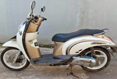 15 Tahun Mengaspal! Harga Scoopy Karburator Bekas Sudah 5 Jutaan