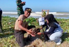 Polsek dan Koramil Dukung Mahasiswa UGM Gelar Penghijauan dan Bersih Pantai di Ketahun