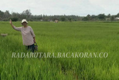 POC Limbah dan Sampah RT Ditargetkan Dukung Pertanian Berkelanjutan