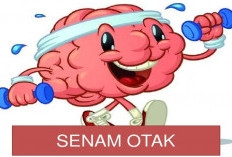 Kenali Jenis-jenis Senam Otak Serta Manfaatnya Bagi Kesehatan Tubuh Kita