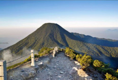 Sosok Raksasa Hitam Hingga Misteri Telaga Warna, Ini 6 Mitos yang Ada di Gunung Gede, Jawa Barat