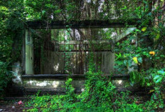 Hutan Mati Bali Jadi Tempat Misterius yang Menyimpan Energi Gaib dan Legenda Menyeramkan!