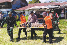 Kodim 0428/Mukomuko Perkuat Kesiapsiagaan Bencana, Gelar Simulasi Lapangan Berskala Besar