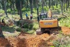 Pembahasan Konflik di Agricinal Sebelat, Fokus Pada Akar Masalah