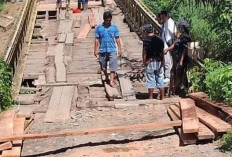 Kerusakan Jembatan Lembah Duri Sangat Urgen. Begini Harapan Camat...