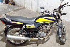 Mirip Moncong Predator Laut, MegaPro Hiu Sudah Tergolong Melegendaris