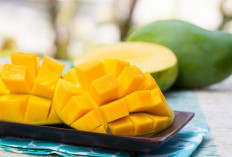 Mashyur di Nusantara, Ini Jenis  Mangga Indramayu Jabar