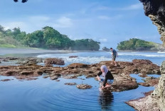 Dilarang Pelihara Kuda Jantan, Ini Mitos Di Balik Keindahan Pantai Madasari Pangandaran
