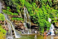 Kenapa Disebut Curug Orok? Telusuri Jejak Legenda dan Pesona Alam Eksotis Nan Indah di Garut